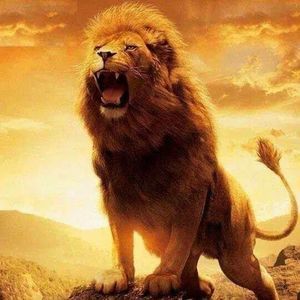 Meet your Posher, Ray